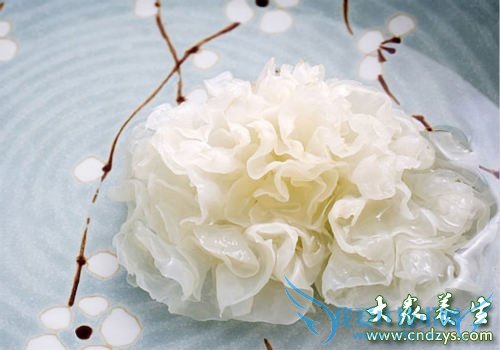 �и����Գ԰�ľ����