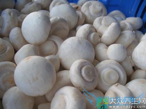 �и��ܳ�˫�߹���