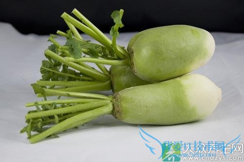 Ƥ�������ܳ����ܲ���