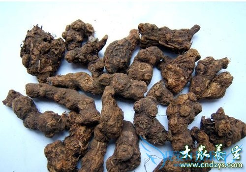 �����ܳ��㸽��  