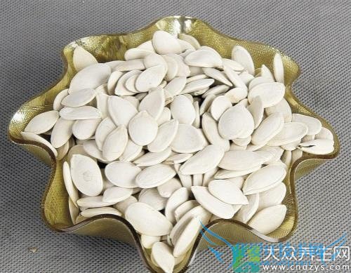 �����ܳ��Ϲ�����