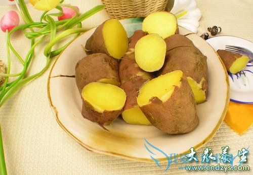 �����ܳ�ľ����