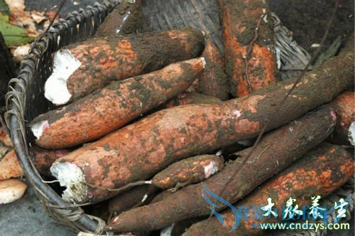 �и��ܳ�ľ������