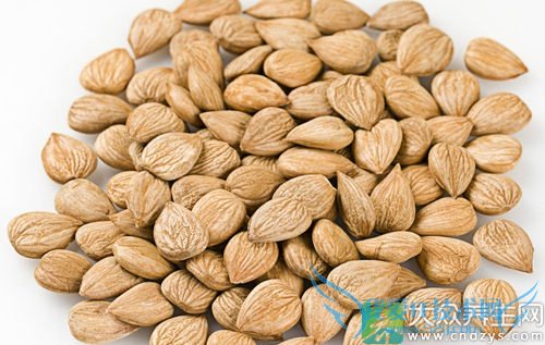 �������ܳ�������������