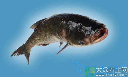 �����ܳ�������