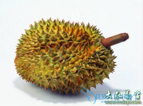 Ů����ʹ����ʲô��