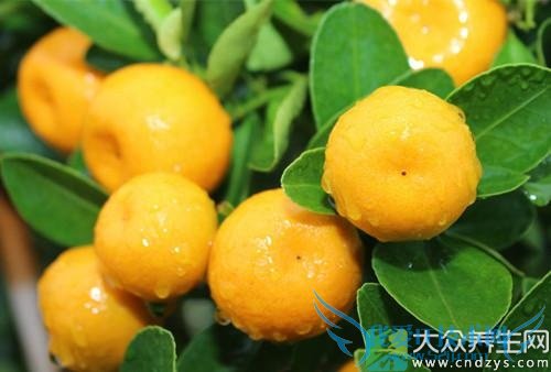 �����ܳԽ�����