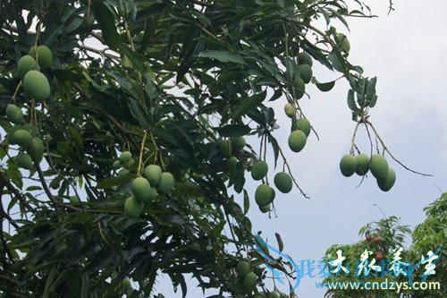 �¾��ڳ���â������