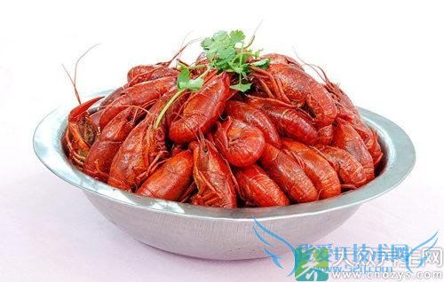 �����ܳ�С��Ϻ��