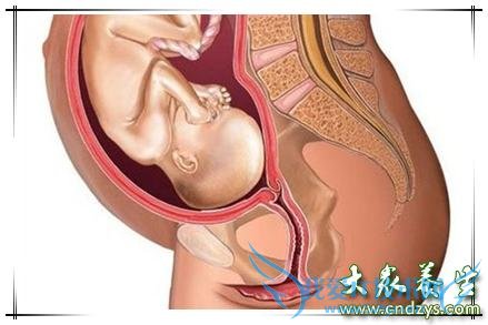 ��̥ͷ����ϸ���ܼ�ע������(1)