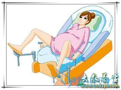 ��̥ͷ����ϸ���ܼ�ע������(2)