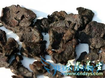 ʮ��ʳ�Ʒ�����Ů����Ѫ��(3)