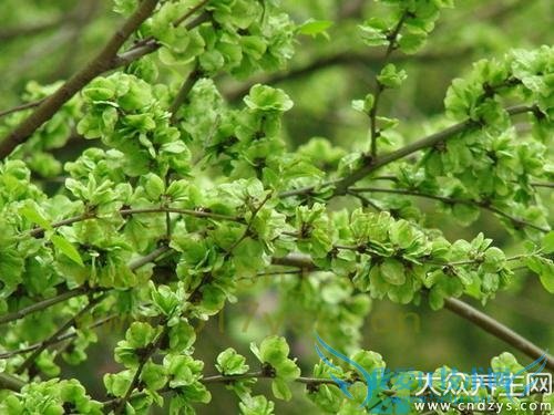 �����ܳ���Ǯ��