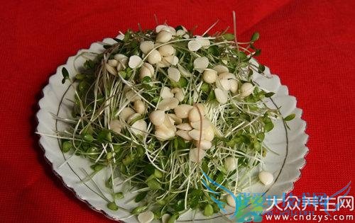 �����ܳ���������