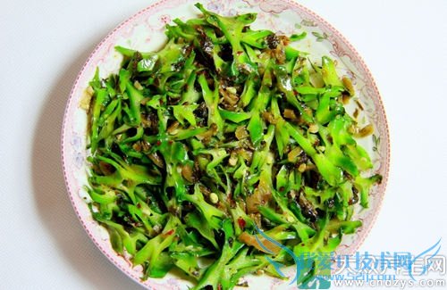 Ƥ�������ܳԶ�����