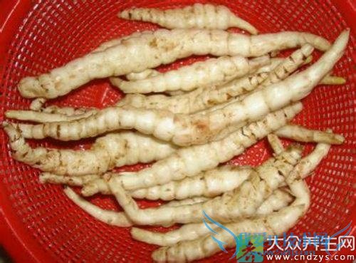 �и��ܳԵ�����