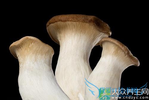 Ƥ�������ܳ��ӱ�����