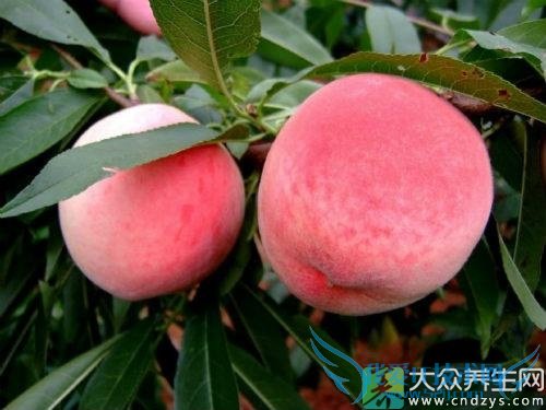 �и��ܳ������� 