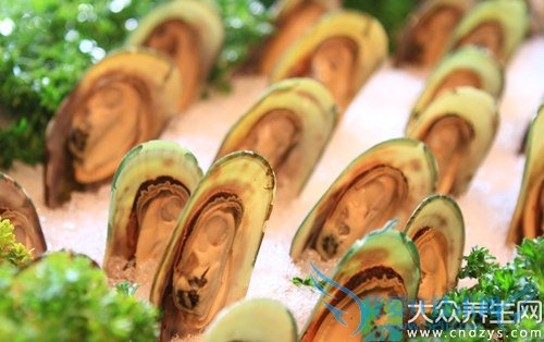 �������ܳ��ʱ���