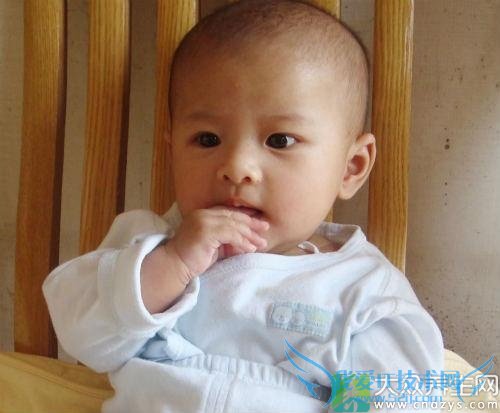 ʲôԭ����С����̱