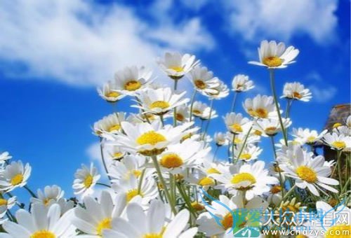 ��ʾվ������ΰ״��쳣��