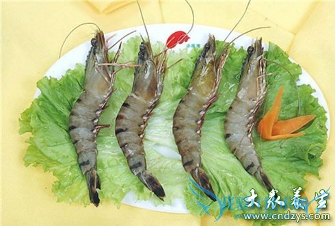 Ů����ʮ��ı�������(4)