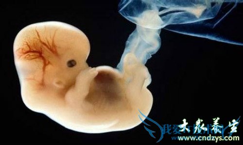 ��ֹ̥ͣ������ԭ��