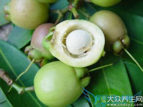 �����ܳ�������