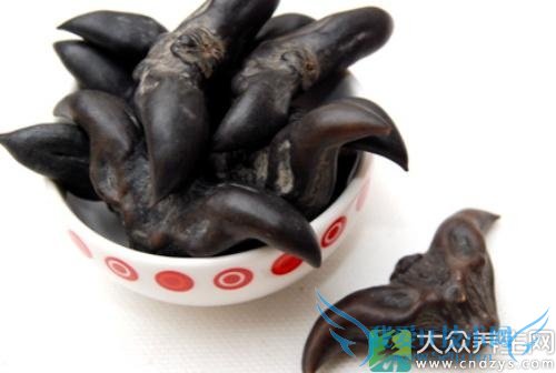 �����ܳ������