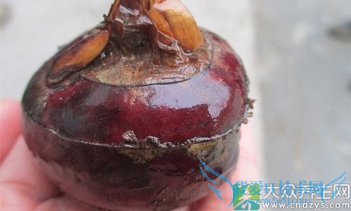 �������ܳ�ݩ����