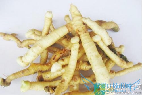 ��Ѫѹ�ܳ�������