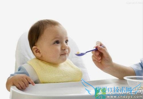 �����¿�ʼ���Ӹ�ʳ