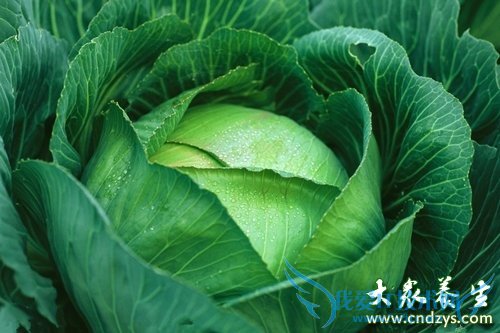 6��ʳ�Ʒ��������������� (5)