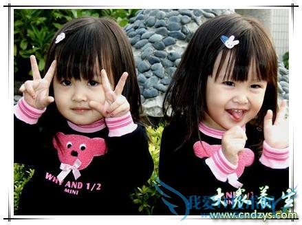 ˫��̥�ķ�����������ô�����أ�(2)