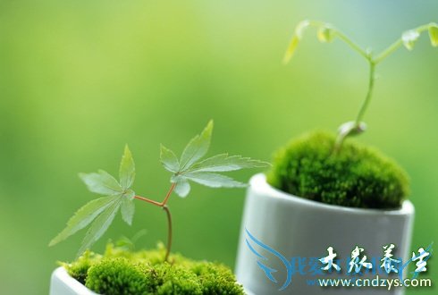 ���ڽ�����ô��(4)