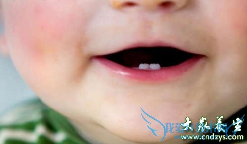 ��ͯ�����ʷ�������