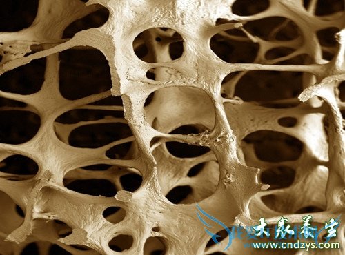 ���ù���������(1)