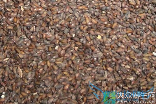 �����ܳԳ�ǰ����