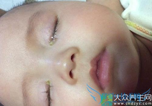 �����ϻ���ʺ��