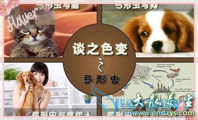 ʲô�ǹ��γ没�����γ没�ٴ����֣��������ƹ��γ没(1)