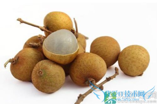 �����ܳԹ�Բ��