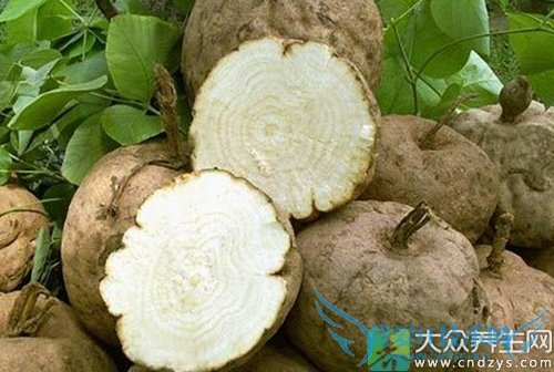 ��Ѫѹ�ܳ�Ұ����