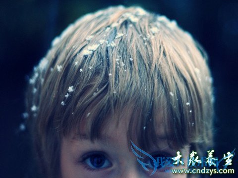 ̥���۷����ز�����7��Ӫ����(6)