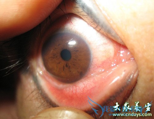 �������ʱ�ز��7����(1)