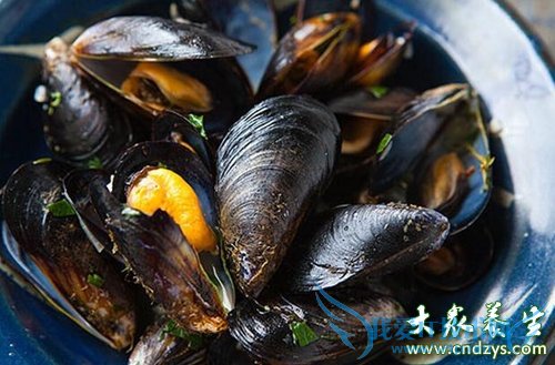 �����ܳ��ݱ���