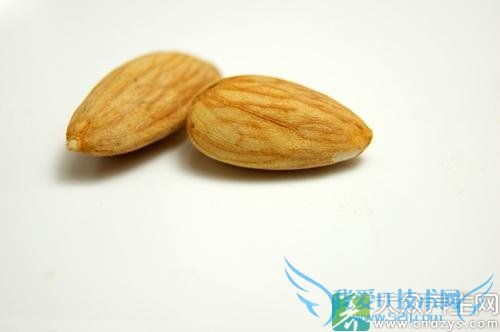 �����ܳ�������