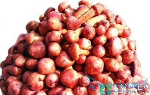 �����ܳԺ�Ģ��