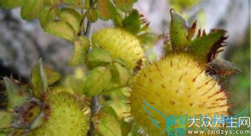 ��Ѫѹ�ܳԴ�����