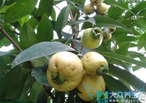 ��Ѫѹ�ܳ�������