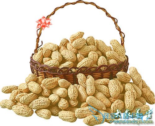 �����ܳԻ�����